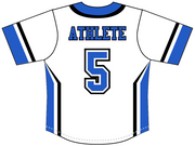 5 Star  - Full Button Baseball Jersey