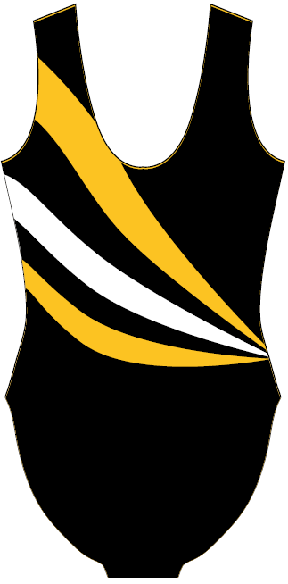 Champion Stripes - Practice Leotard