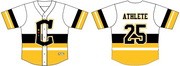 Chalkley Steelers - Full Button Baseball Jersey | Fan Jersey