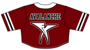 Cheer FX - Full Button Crop Jersey