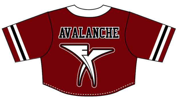 Cheer FX - Full Button Crop Jersey