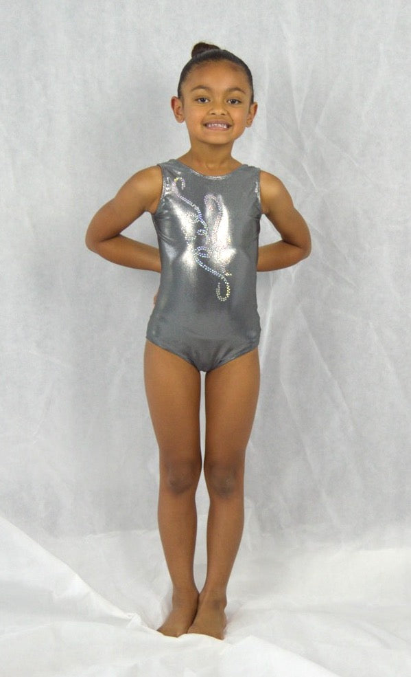 Mystic Silver - Practice Leotard