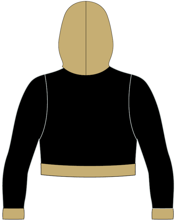 Top Flight - Voyager Crop Hoodie